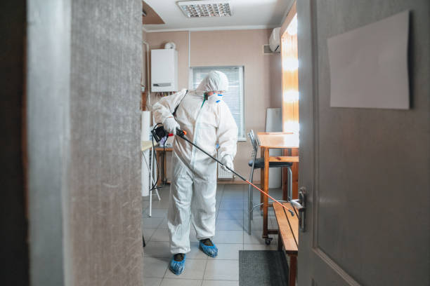 Best Mold Documentation for Insurance Claims  in Springfield, MA