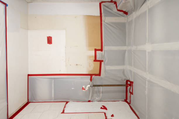 Best Mold Odor Removal Services  in Springfield, MA