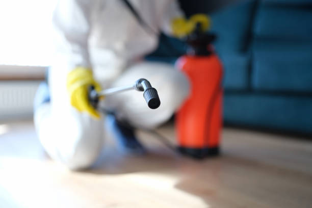 Best Asbestos and Lead Testing During Mold Inspection  in Springfield, MA