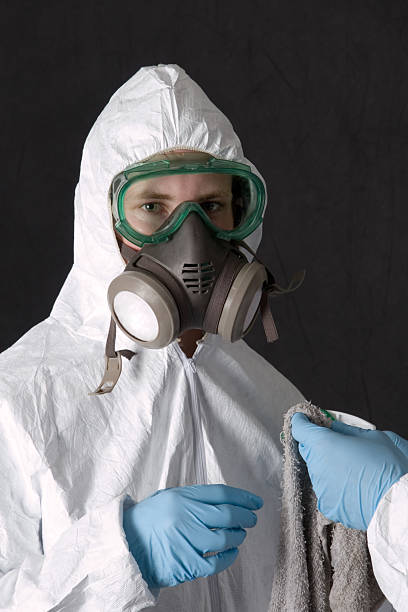 Mold Removal for HVAC Installations in Springfield, MA